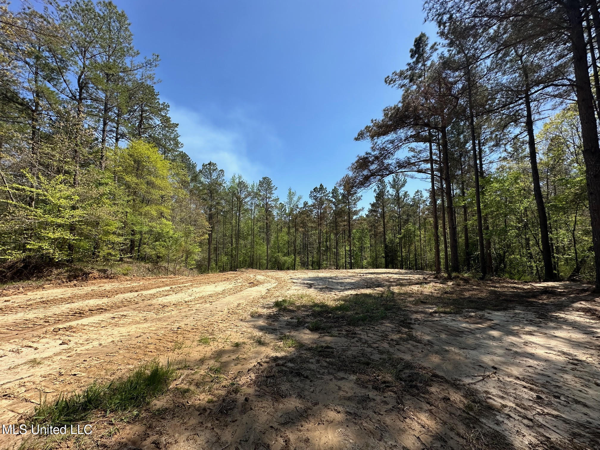 0 County Road 375 Carrollton, MS 38917 - Photo 34 of 67 34