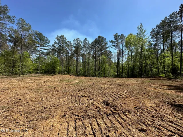 $1,059,000 | 0 County Road 375, Carrollton, MS 38917