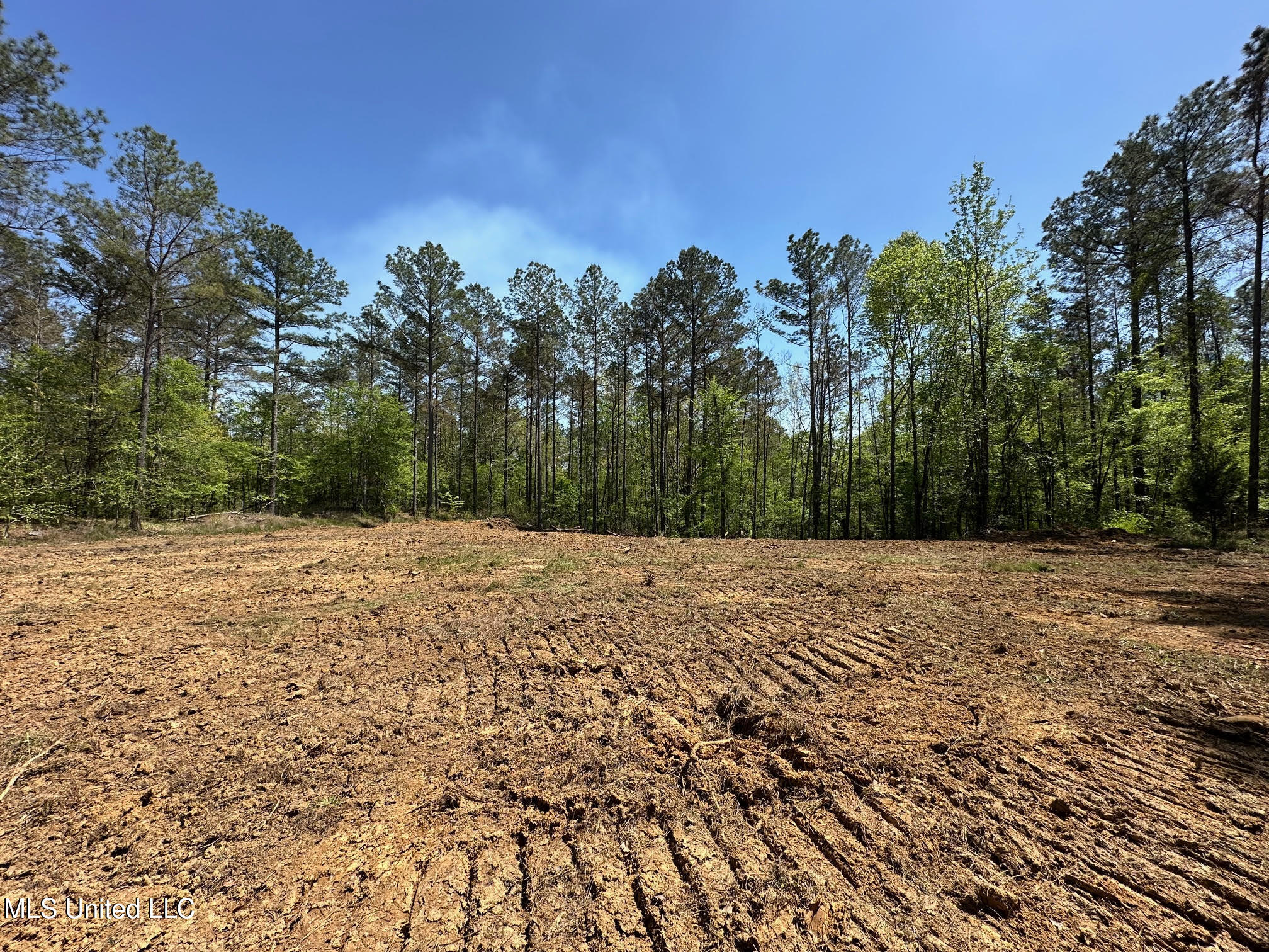 0 County Road 375 Carrollton, MS 38917 - Photo 35 of 67 35