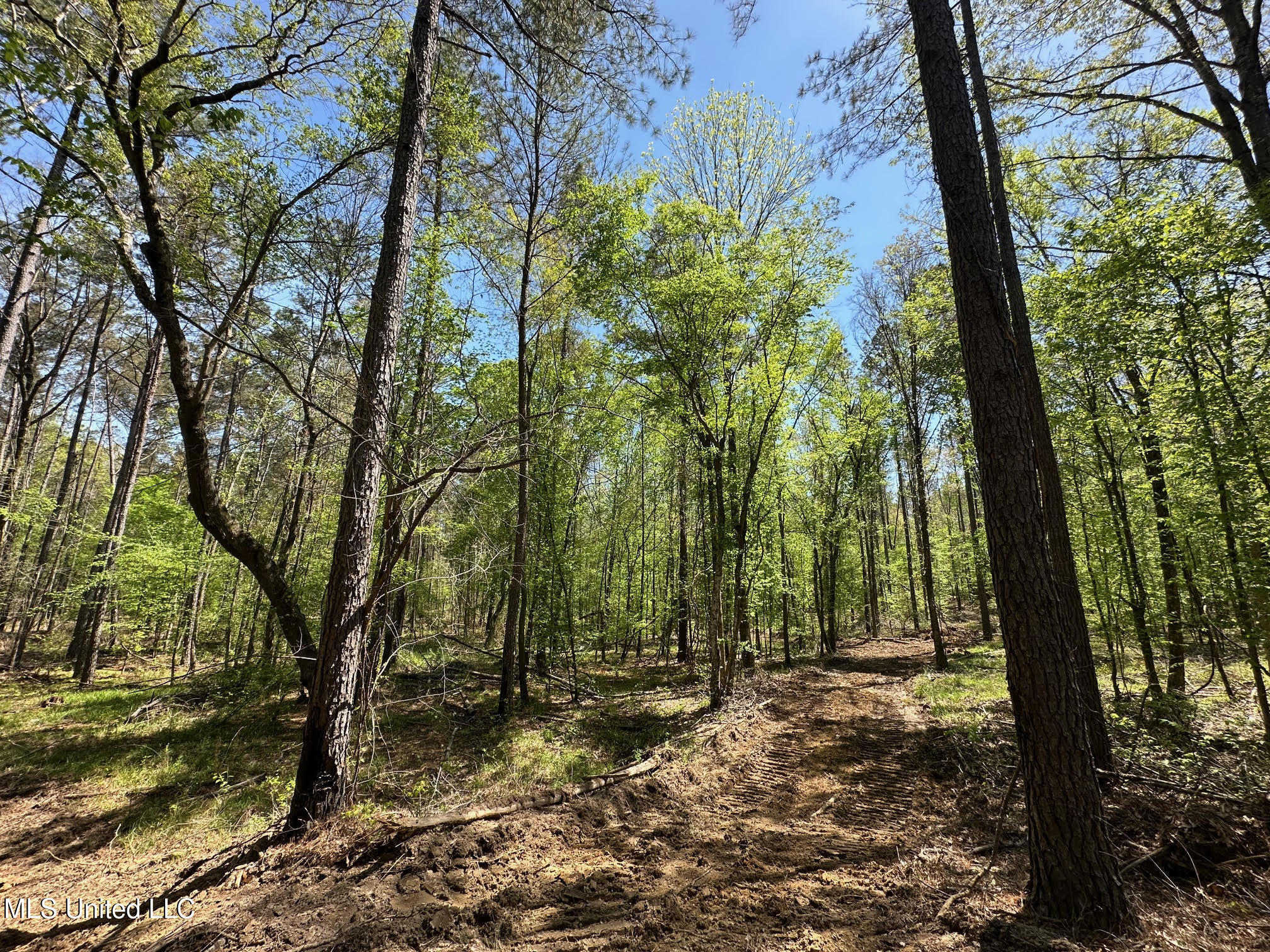 0 County Road 375 Carrollton, MS 38917 - Photo 36 of 67 36