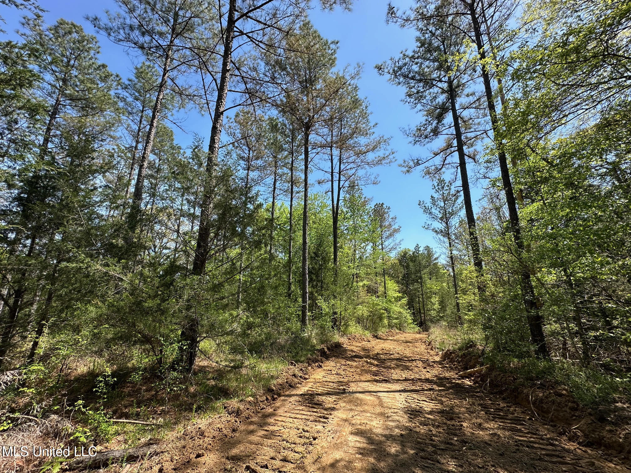 0 County Road 375 Carrollton, MS 38917 - Photo 37 of 67 37