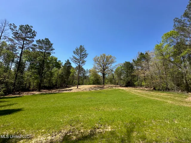 $1,059,000 | 0 County Road 375, Carrollton, MS 38917