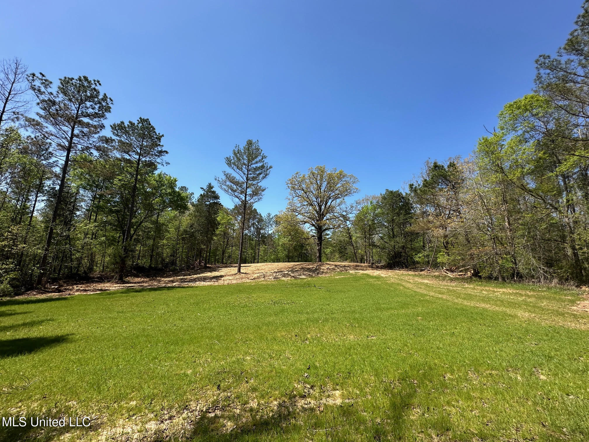0 County Road 375 Carrollton, MS 38917 - Photo 39 of 67 39