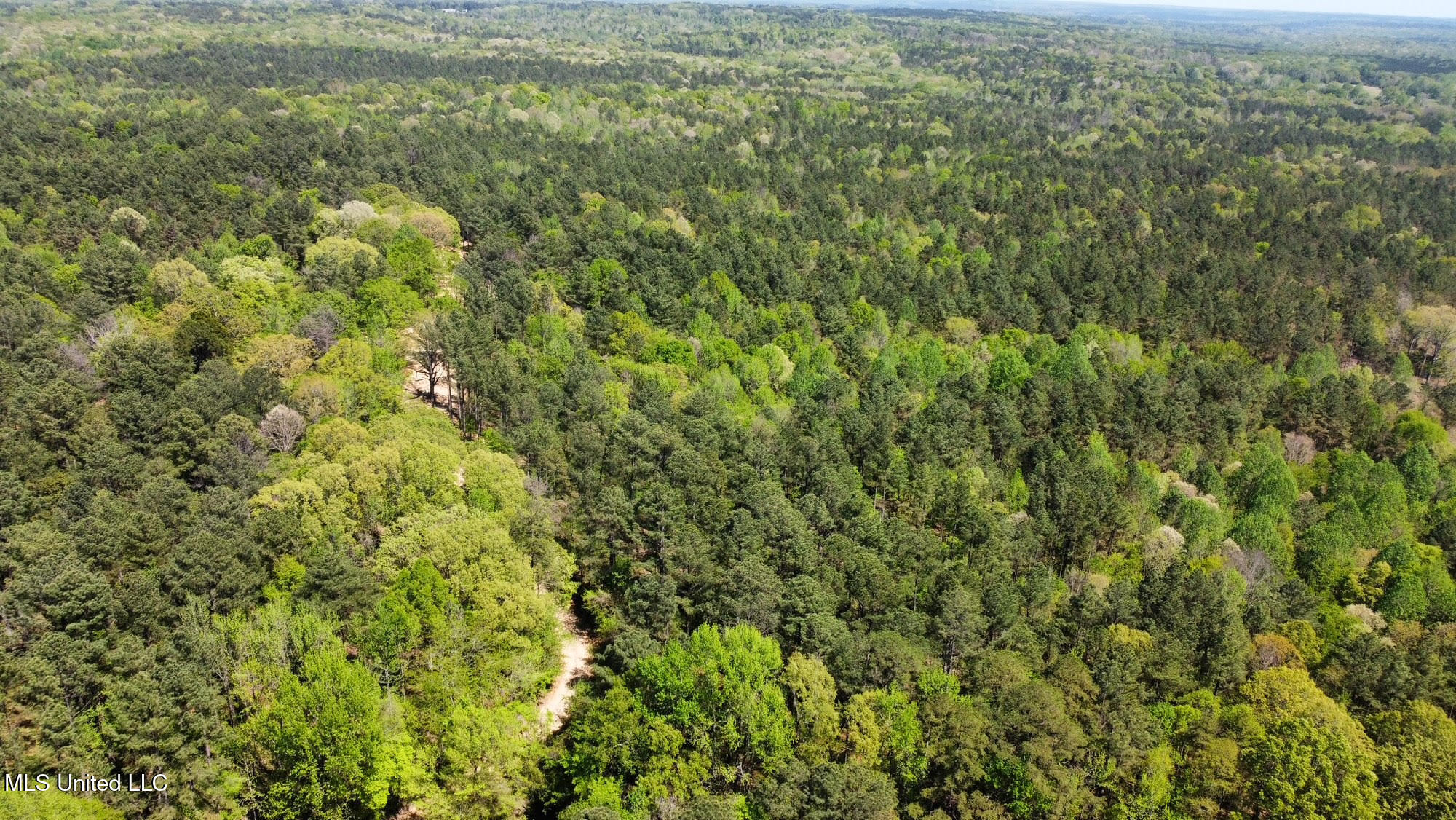 0 County Road 375 Carrollton, MS 38917 - Photo 39 of 63 43