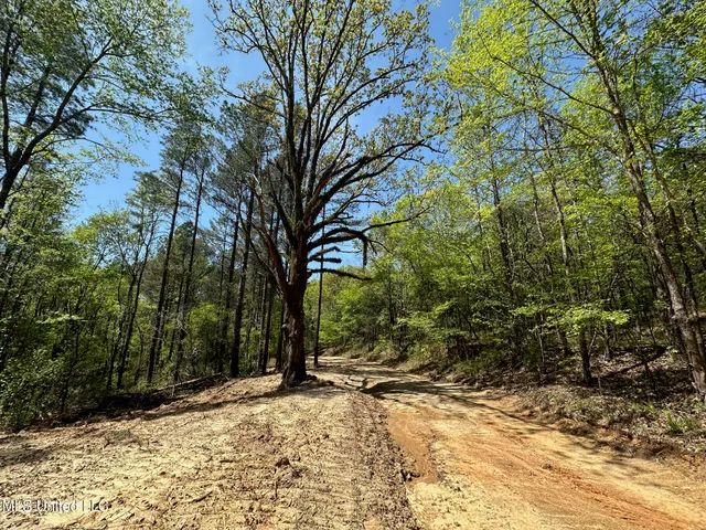 $1,059,000 | 0 County Road 375, Carrollton, MS 38917