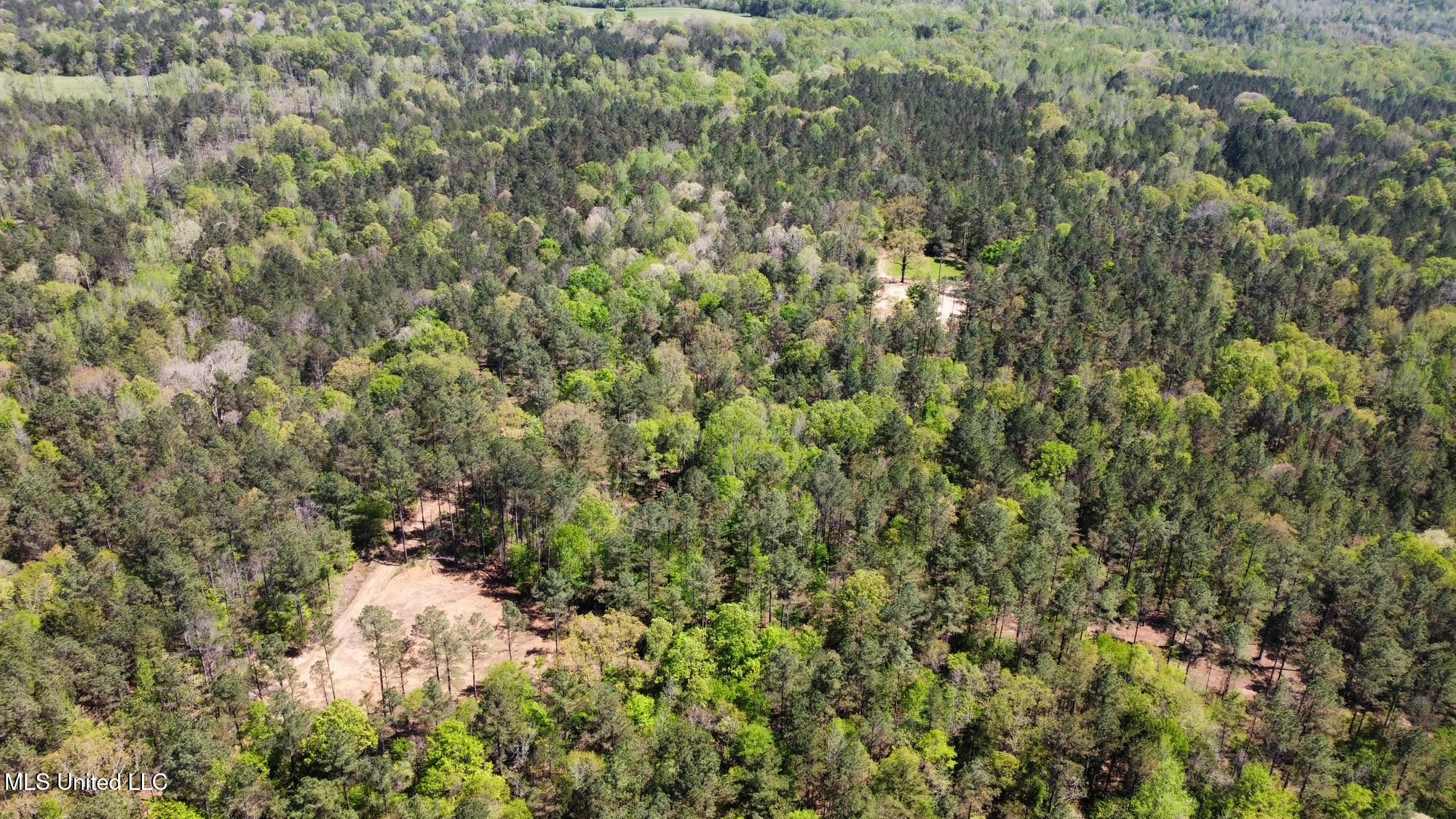 0 County Road 375 Carrollton, MS 38917 - Photo 42 of 63 46