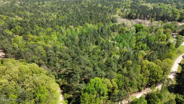 $1,059,000 | 0 County Road 375, Carrollton, MS 38917