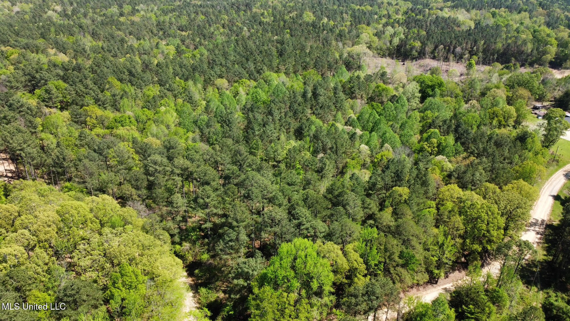 0 County Road 375 Carrollton, MS 38917 - Photo 42 of 67 42