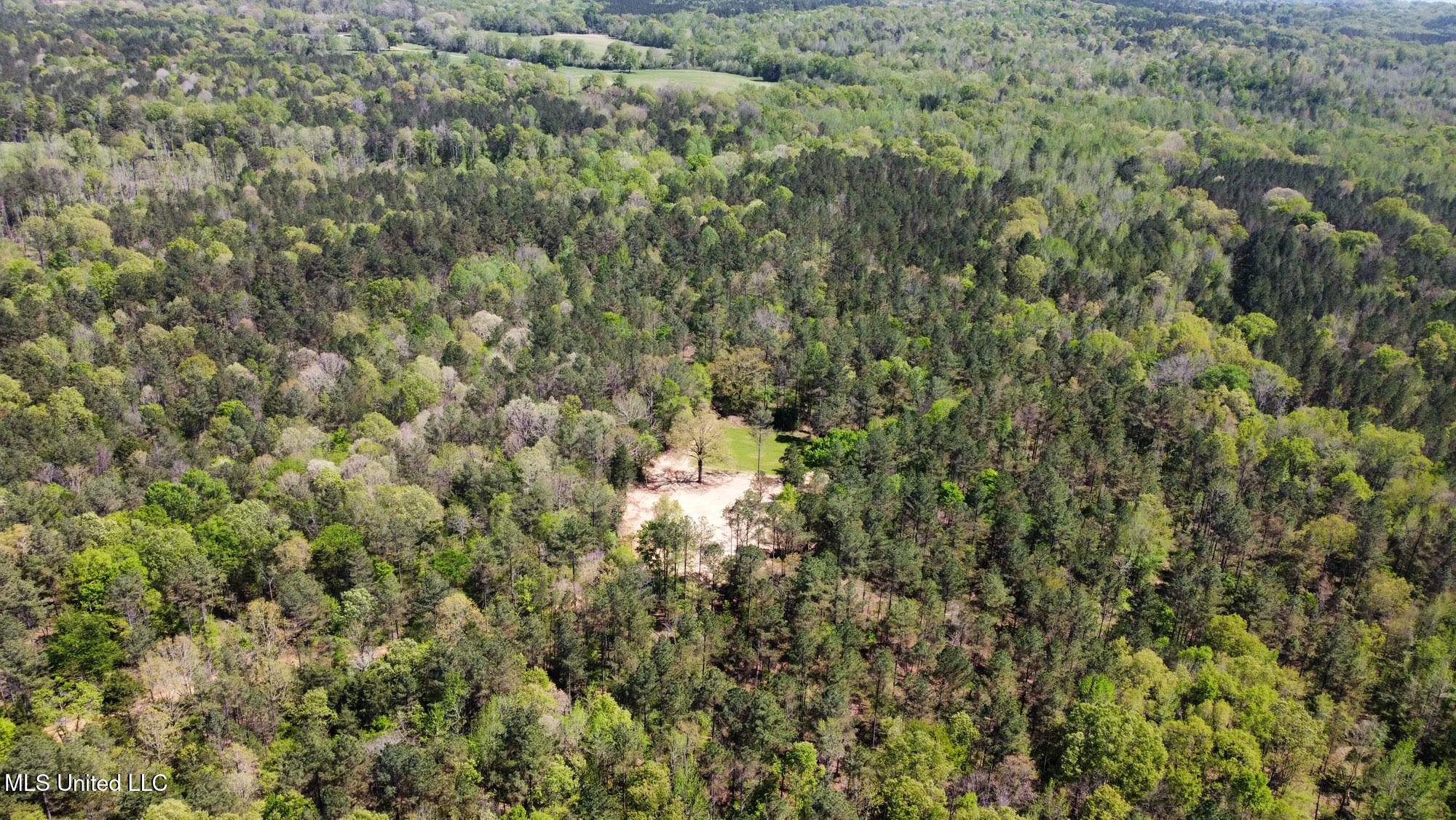 0 County Road 375 Carrollton, MS 38917 - Photo 43 of 63 47