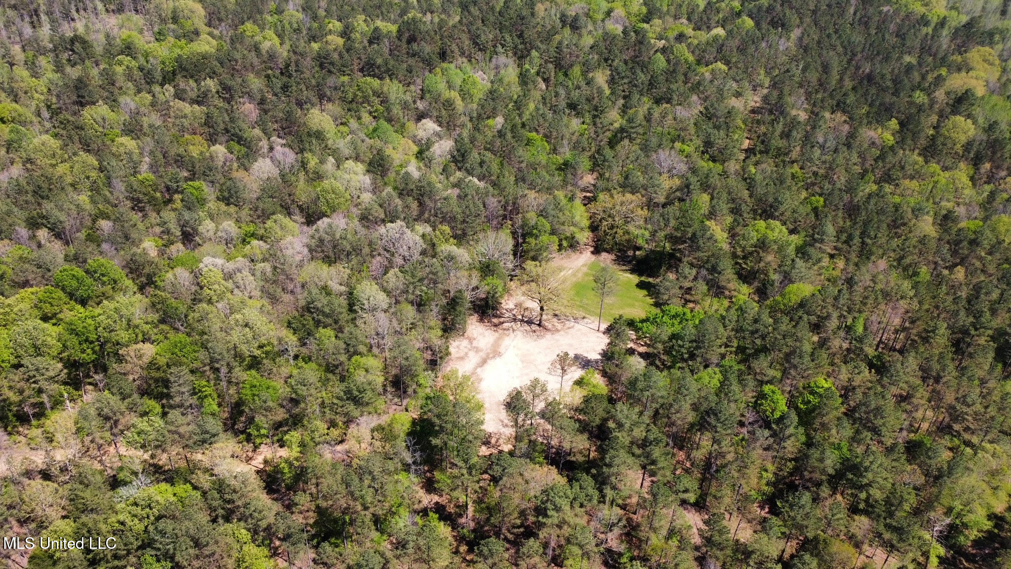 0 County Road 375 Carrollton, MS 38917 - Photo 44 of 63 48