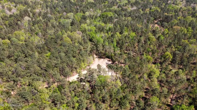 $1,059,000 | 0 County Road 375, Carrollton, MS 38917