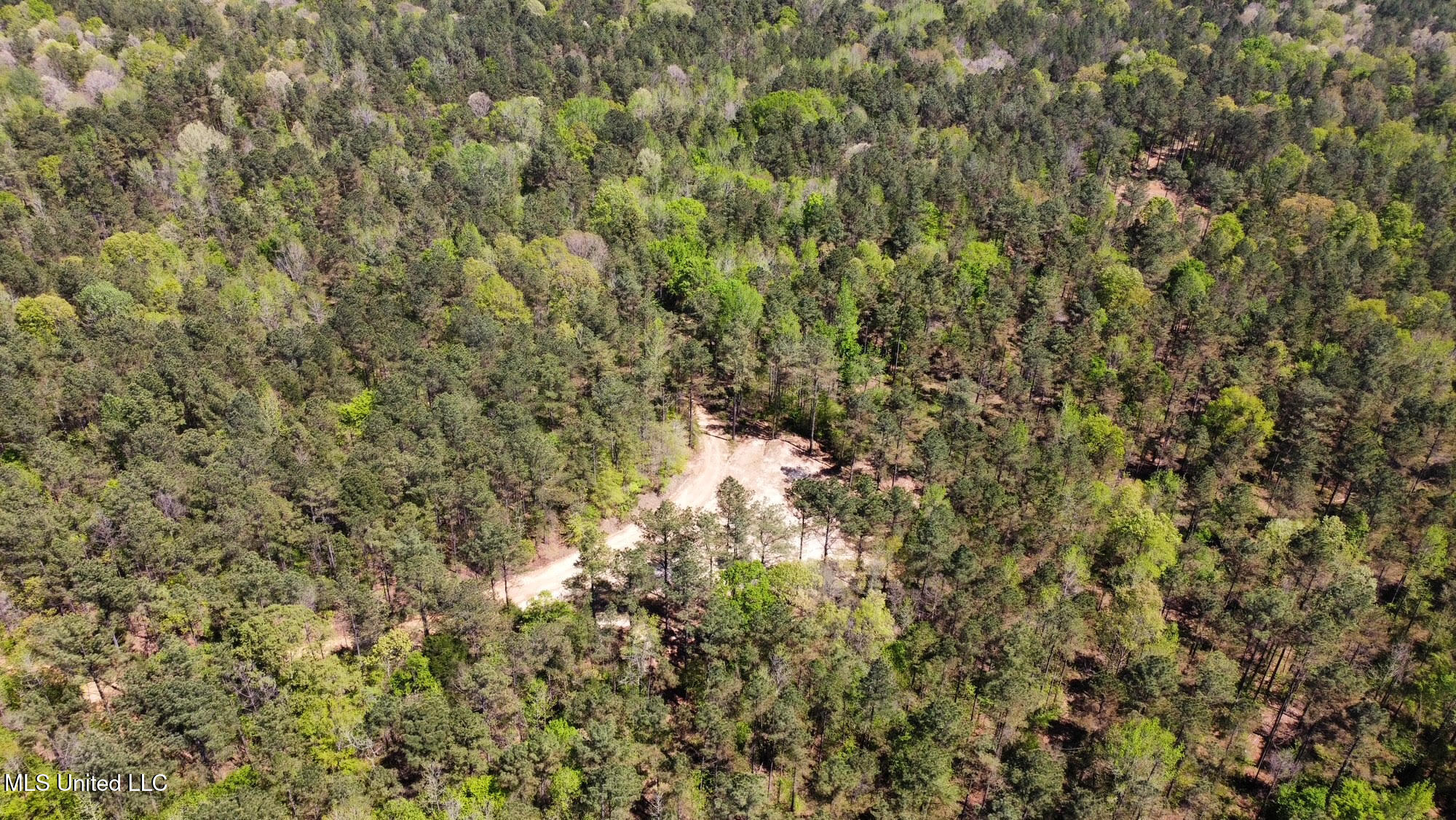 0 County Road 375 Carrollton, MS 38917 - Photo 45 of 67 45