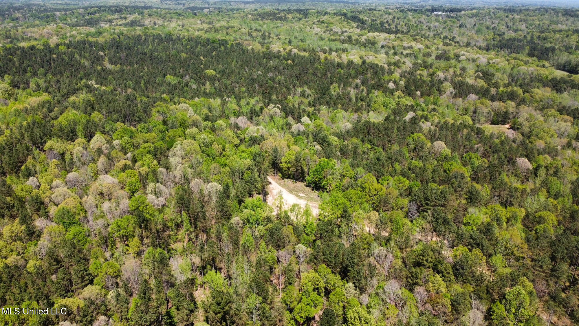 0 County Road 375 Carrollton, MS 38917 - Photo 45 of 63 49