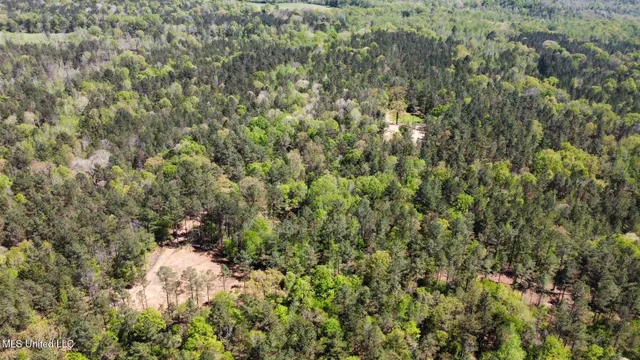 $1,059,000 | 0 County Road 375, Carrollton, MS 38917