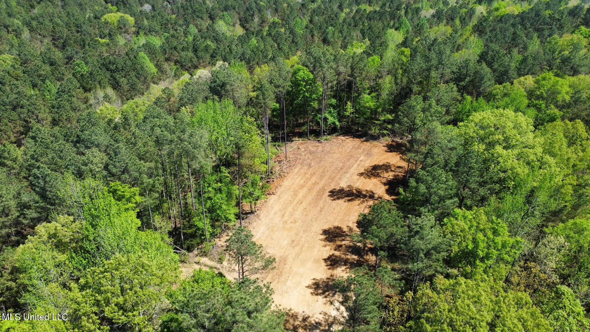 0 County Road 375 Carrollton, MS 38917 - Photo 46 of 63 50