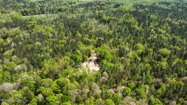 $895,000 | 0 County Road 375, Carrollton, MS 38917