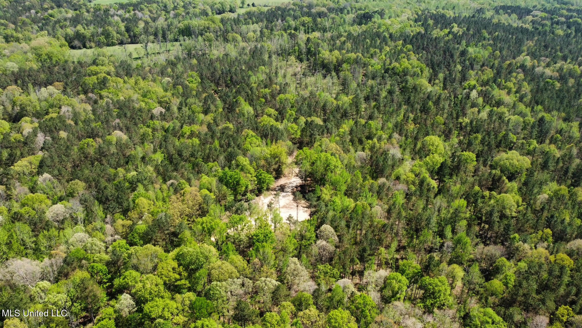0 County Road 375 Carrollton, MS 38917 - Photo 47 of 63 51