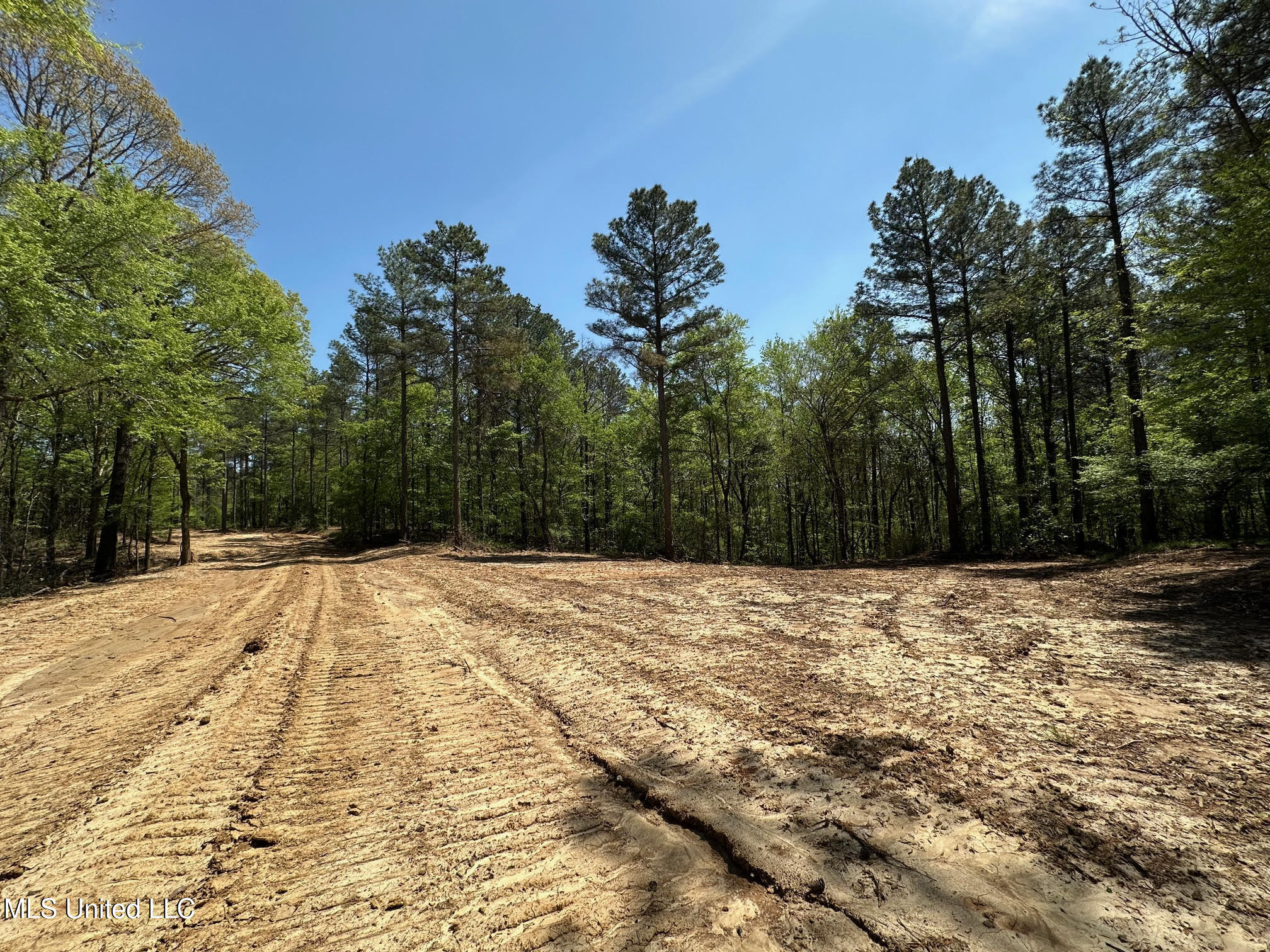 0 County Road 375 Carrollton, MS 38917 - Photo 5 of 67 4
