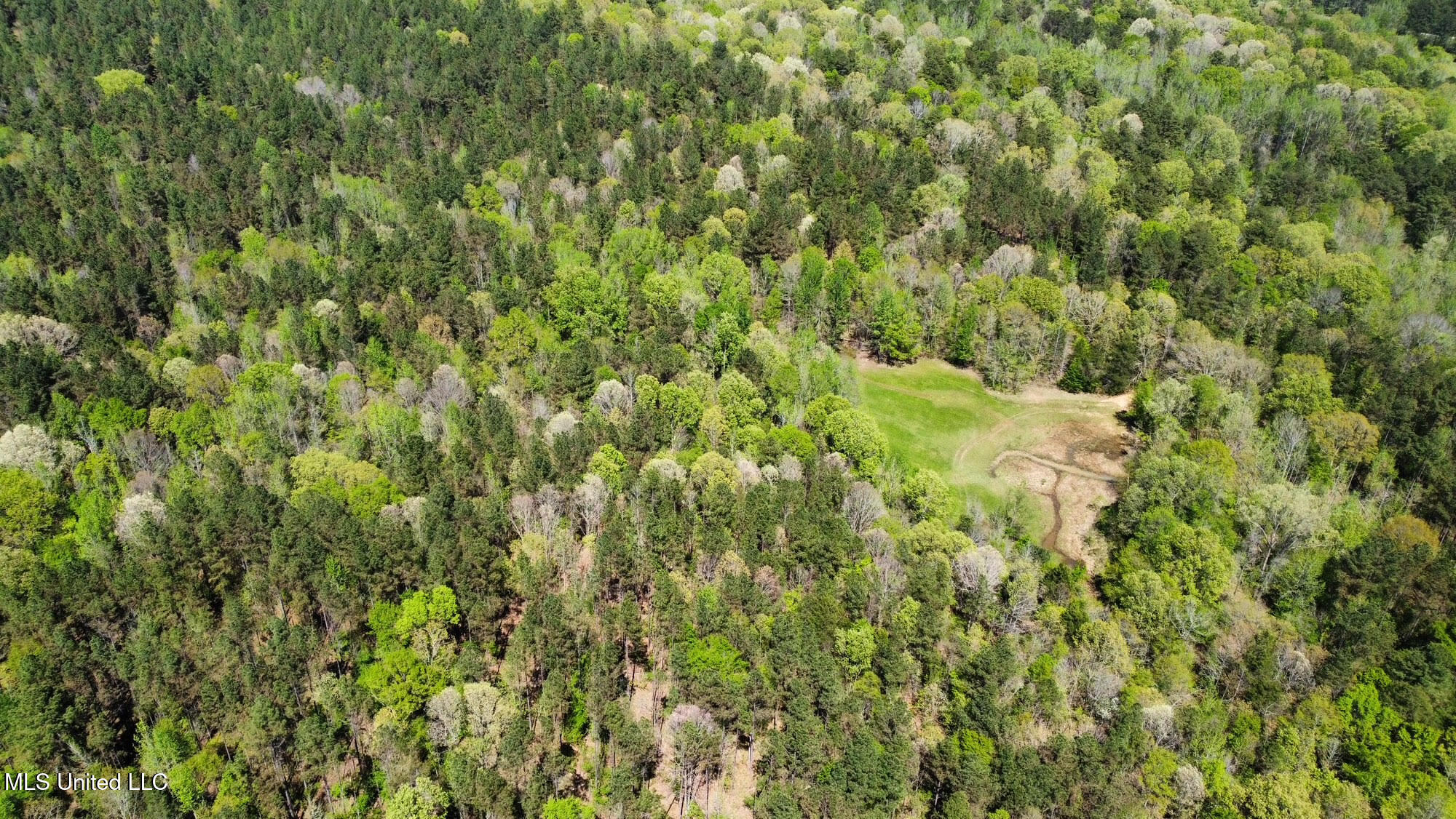 0 County Road 375 Carrollton, MS 38917 - Photo 52 of 67 52