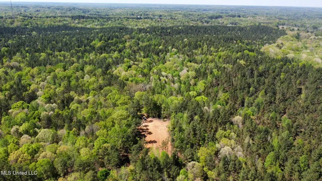 $1,059,000 | 0 County Road 375, Carrollton, MS 38917