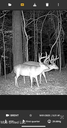 $895,000 | 0 County Road 375, Carrollton, MS 38917