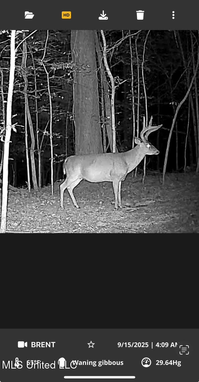 0 County Road 375 Carrollton, MS 38917 - Photo 59 of 67 101