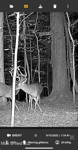 $1,059,000 | 0 County Road 375, Carrollton, MS 38917