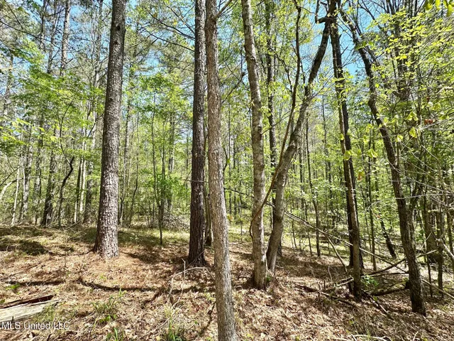 $1,059,000 | 0 County Road 375, Carrollton, MS 38917