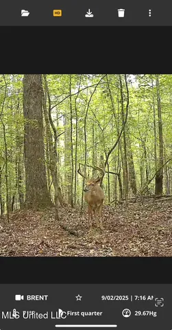 $1,059,000 | 0 County Road 375, Carrollton, MS 38917