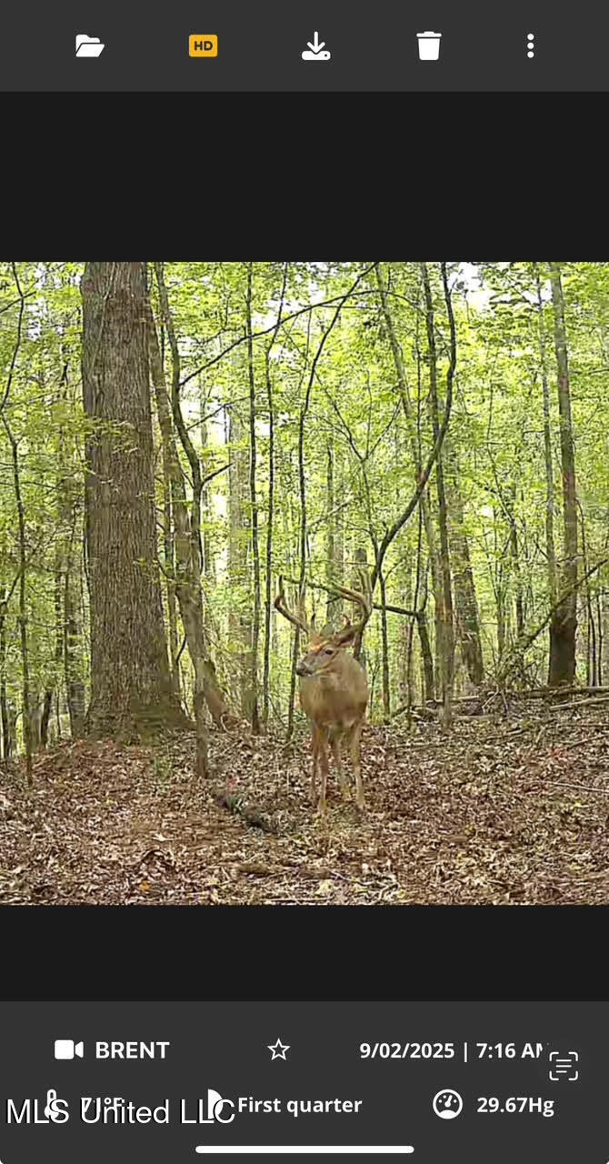 0 County Road 375 Carrollton, MS 38917 - Photo 62 of 67 104