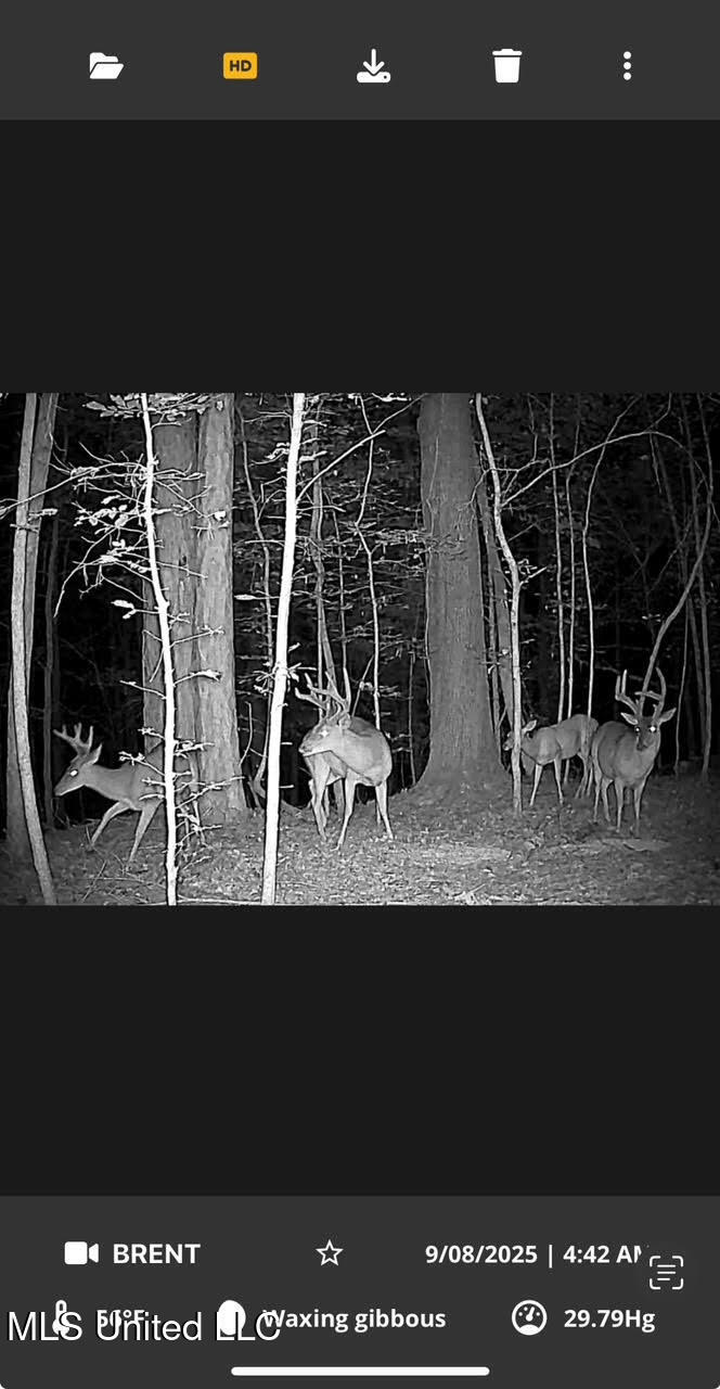 0 County Road 375 Carrollton, MS 38917 - Photo 63 of 67 105