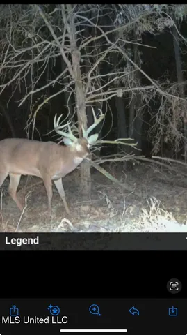 $1,059,000 | 0 County Road 375, Carrollton, MS 38917