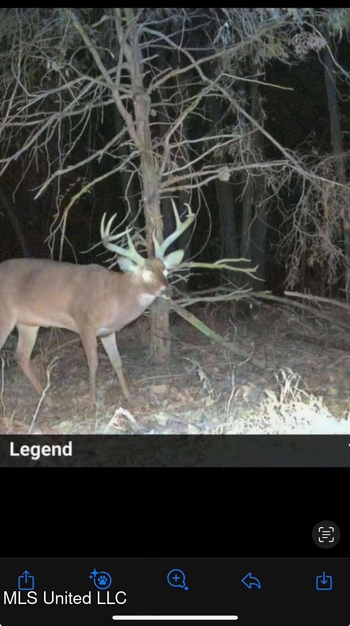 0 County Road 375 Carrollton, MS 38917 - Photo 64 of 67 106