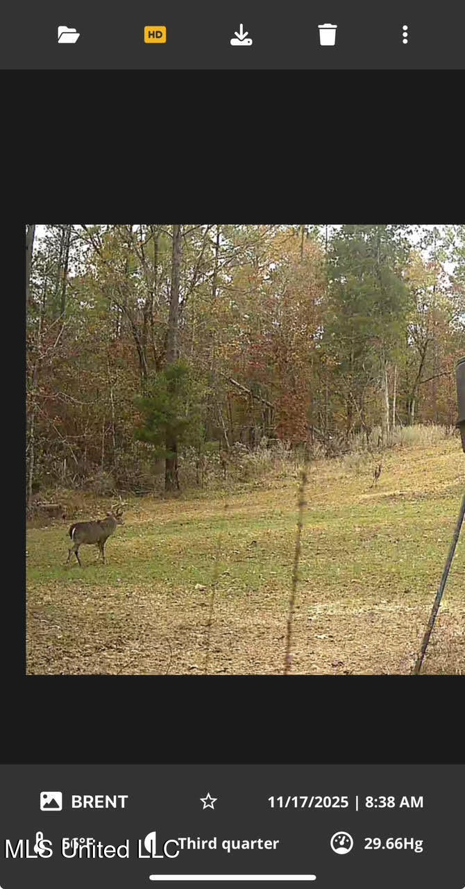 0 County Road 375 Carrollton, MS 38917 - Photo 65 of 67 107