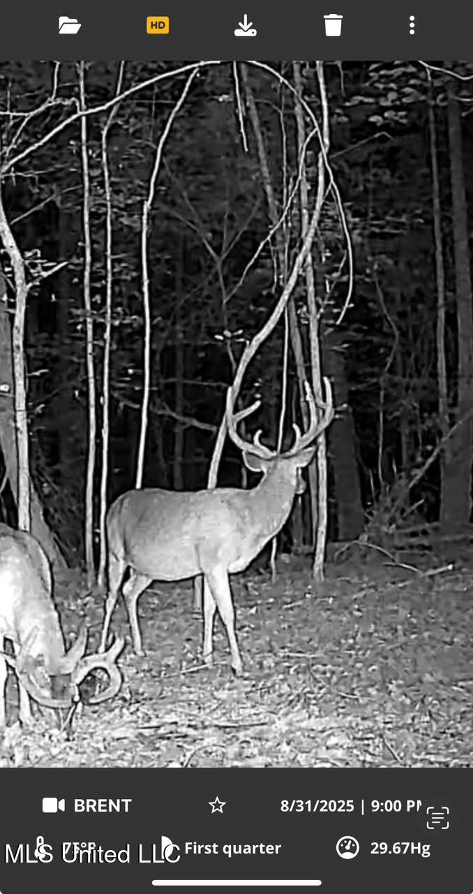 0 County Road 375 Carrollton, MS 38917 - Photo 66 of 67 108