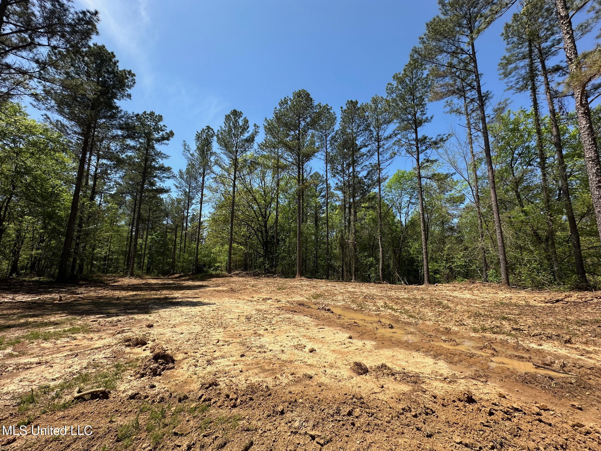 0 County Road 375 Carrollton, MS 38917 - Photo 7 of 67 6