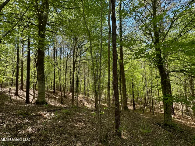 $1,059,000 | 0 County Road 375, Carrollton, MS 38917