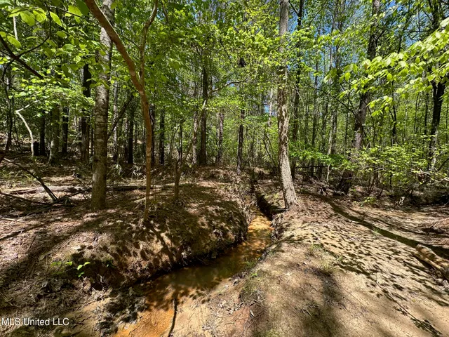$1,059,000 | 0 County Road 375, Carrollton, MS 38917