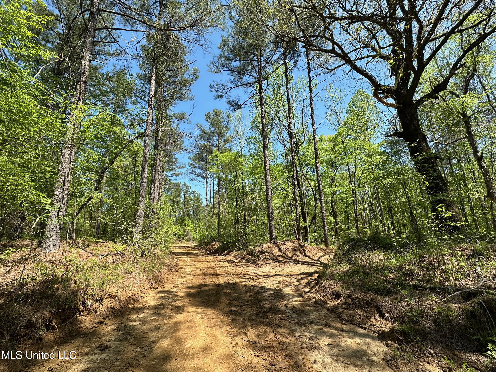 0 County Road 375 Carrollton, MS 38917 - Photo 10 of 67 9