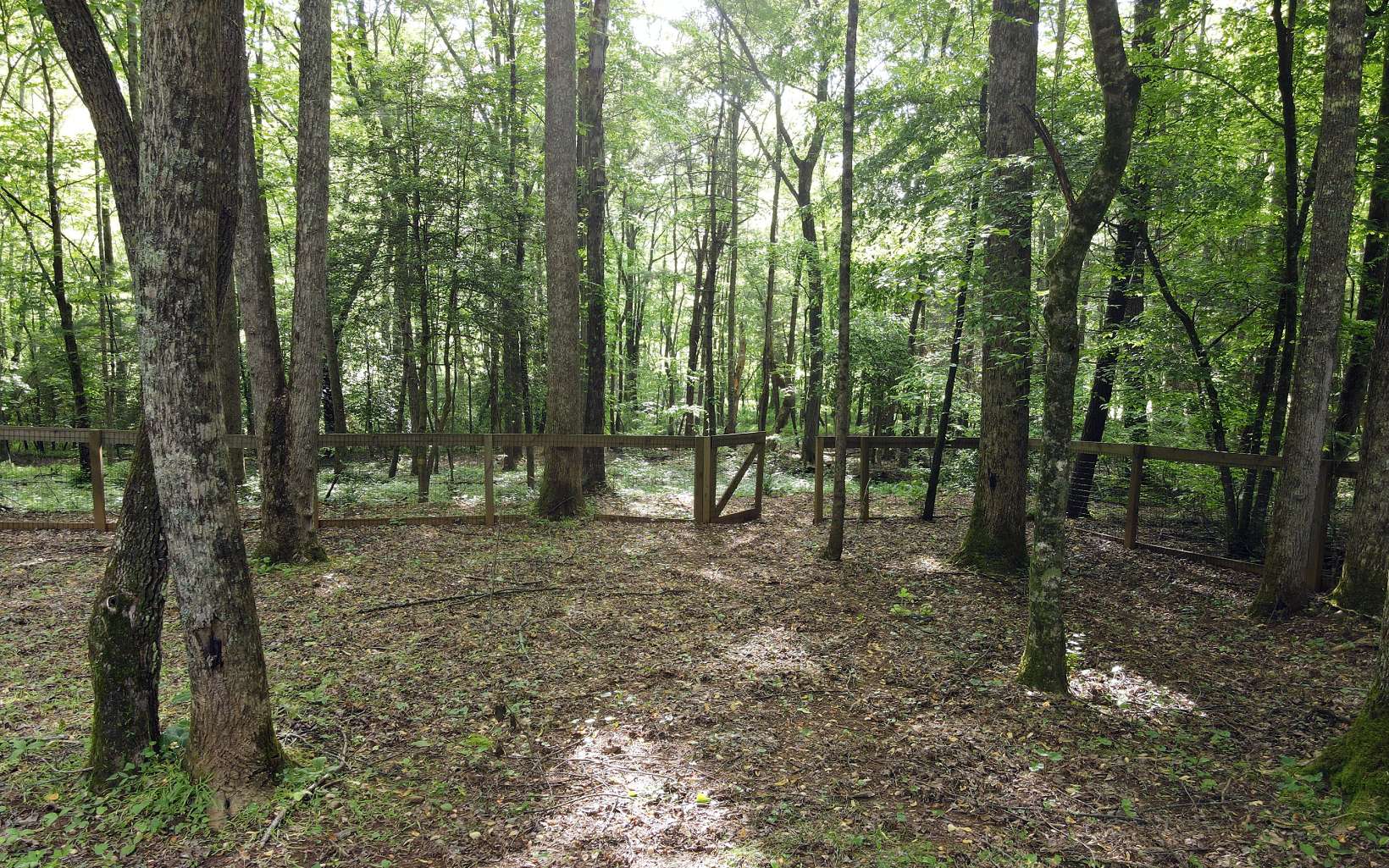 550 Watson Road Epworth, GA 30541 - Photo 31 of 42 Additional View