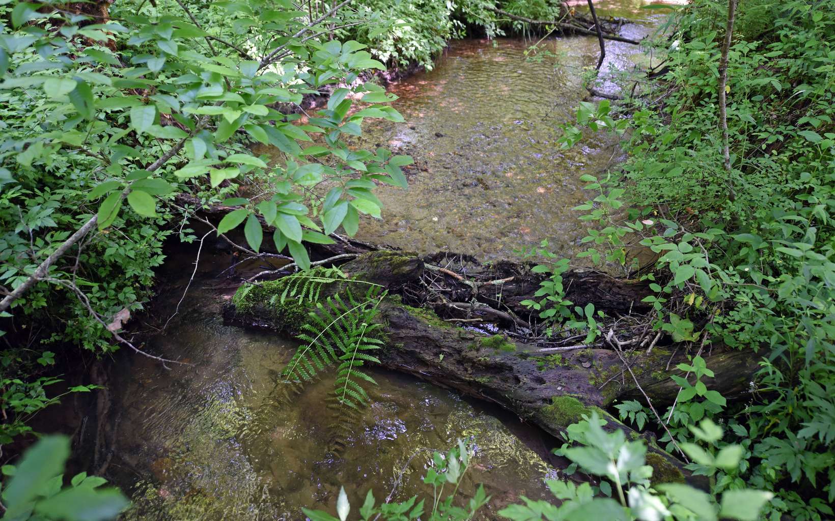 550 Watson Road Epworth, GA 30541 - Photo 33 of 42 Additional View