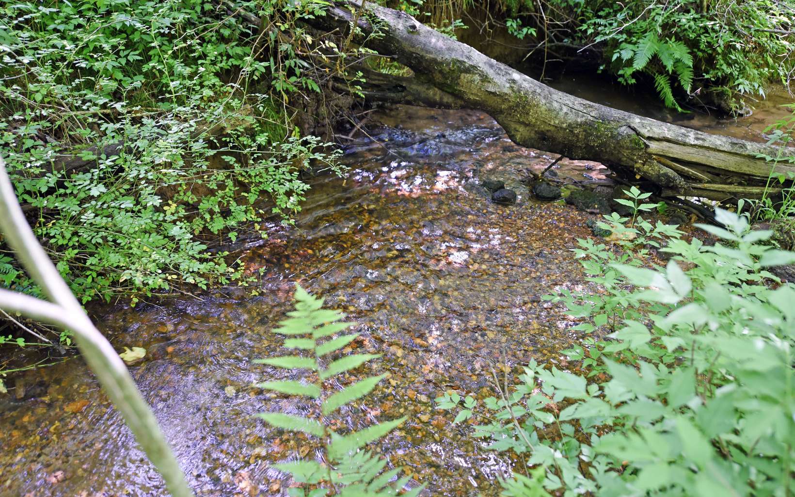 550 Watson Road Epworth, GA 30541 - Photo 4 of 42 Additional View