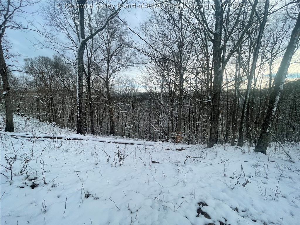 0 Grouse Ridge Sumerco, WV 25567 - Photo 17 of 17 Gallery Image 17
