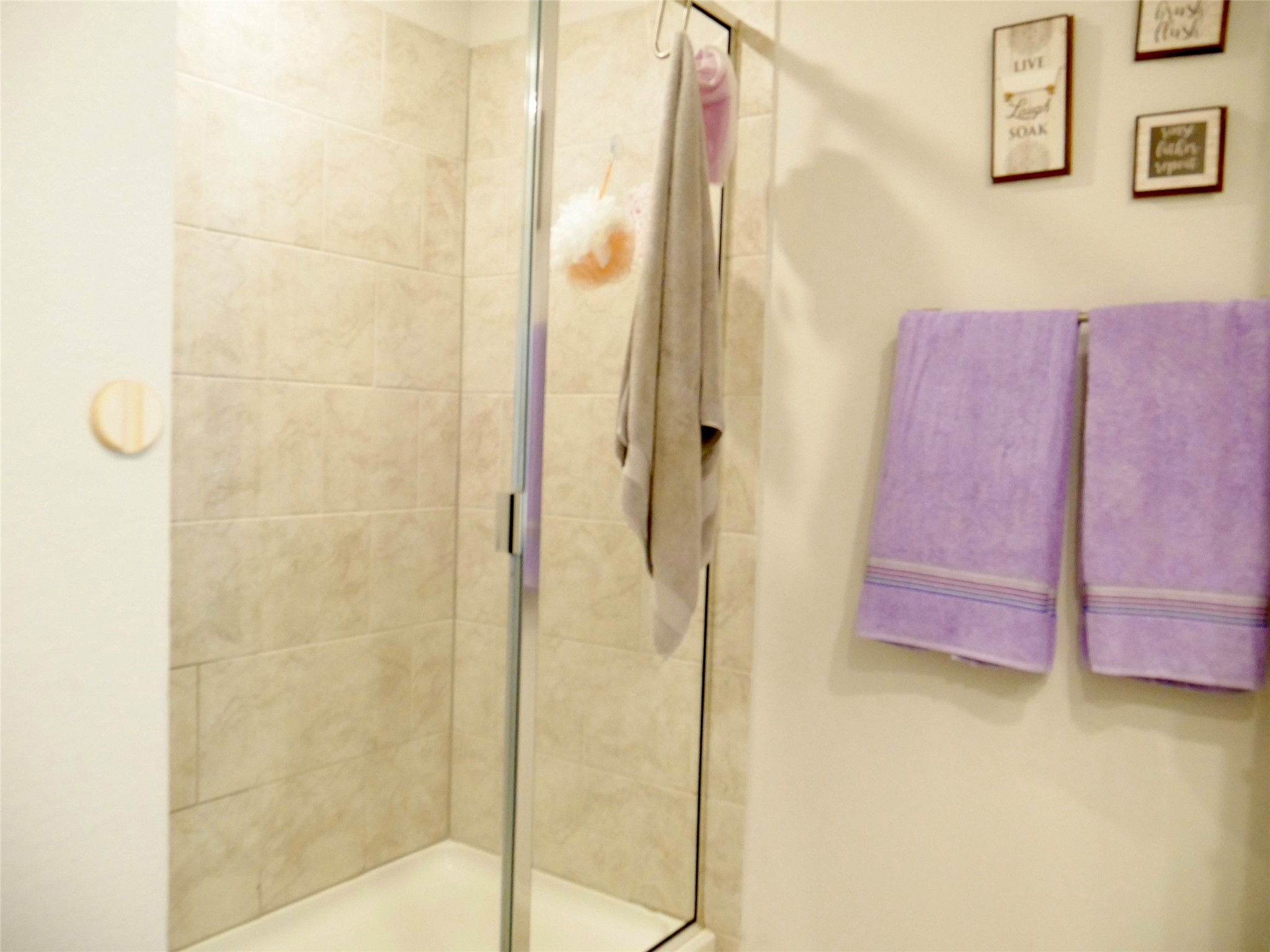 524 Taggart Trail Jarrell, TX 76537 - Photo 13 of 18 a bathroom with a shower