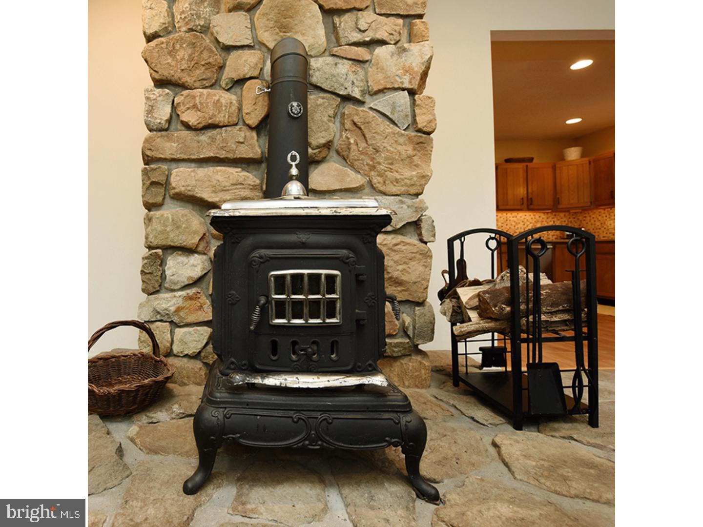 175 Niantic Road Barto, PA 19504 - Photo 8 of 24 Fireplace