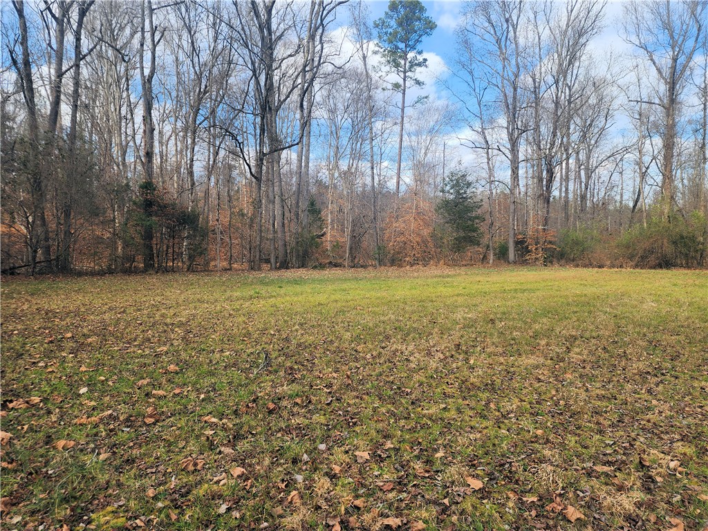 3068 State Rd S-30-40 Gray Court, SC 29645 - Photo 20 of 32