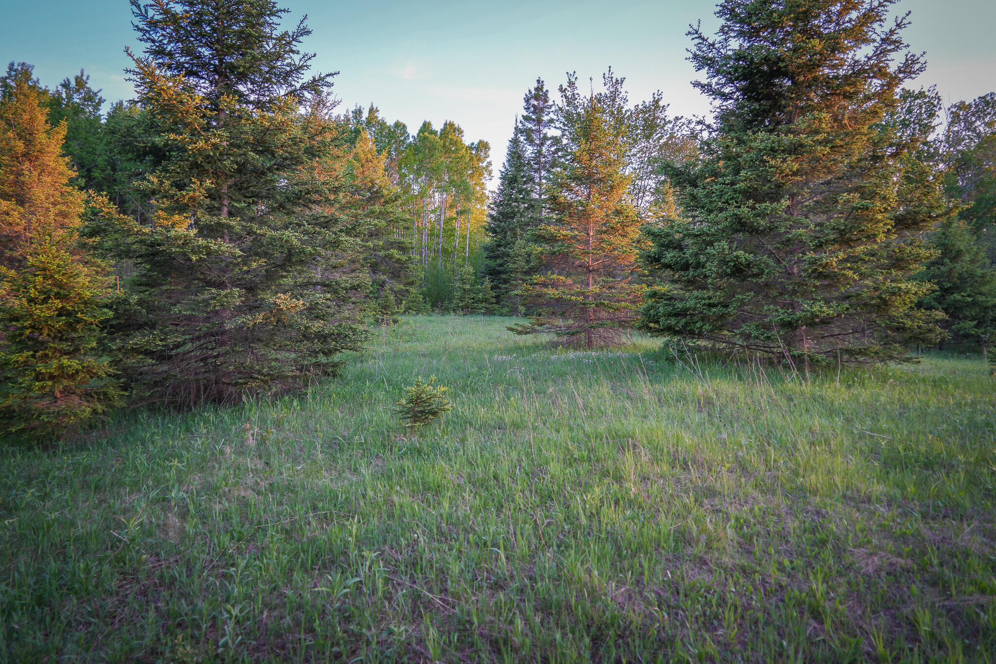 V/l V/l 33rd Road Perkins, MI 49872 - Photo 68 of 70 DSC00109