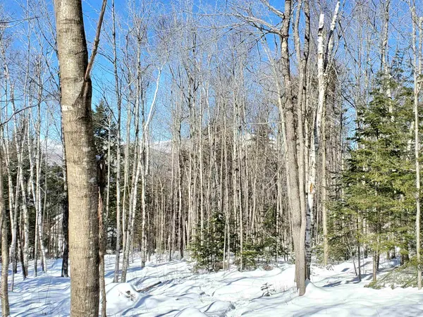 $249,900 | 0 Tin Mine Road, Unit V082503, Jackson, NH 03846