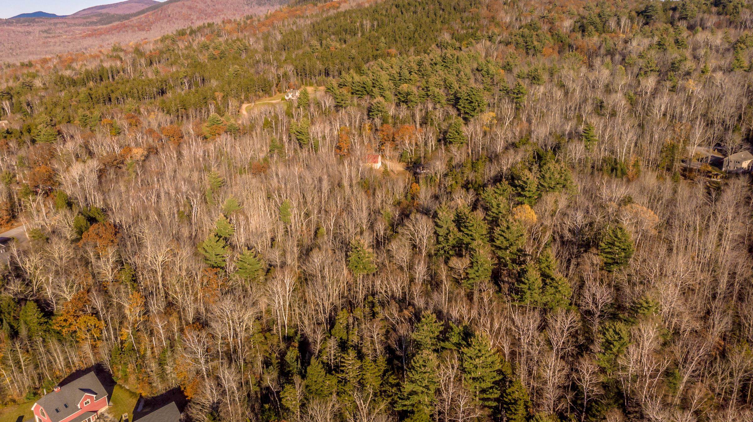 0 Tin Mine Road, Unit V082503 Jackson, NH 03846 - Photo 14 of 38