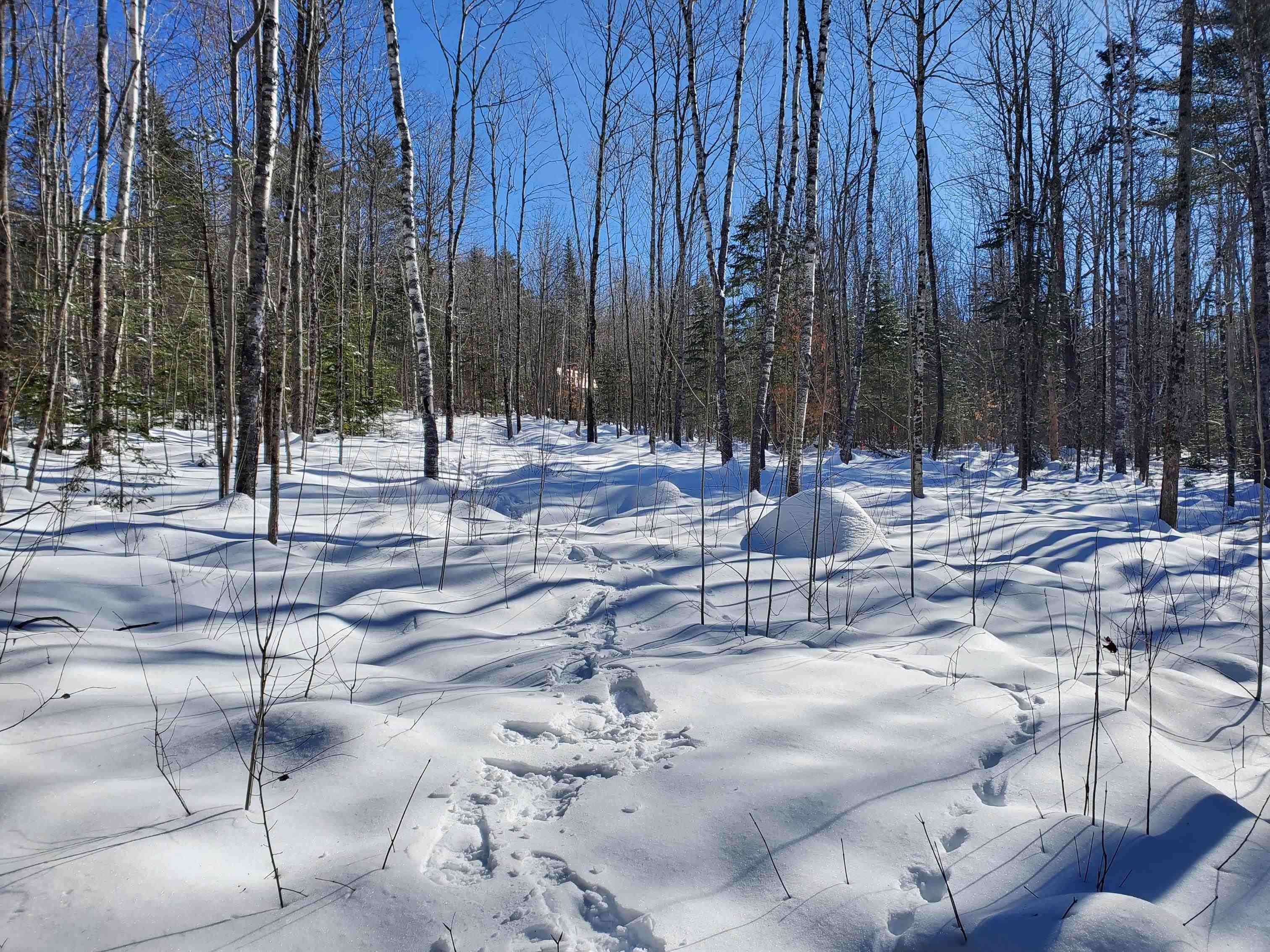 0 Tin Mine Road, Unit V082503 Jackson, NH 03846 - Photo 31 of 38